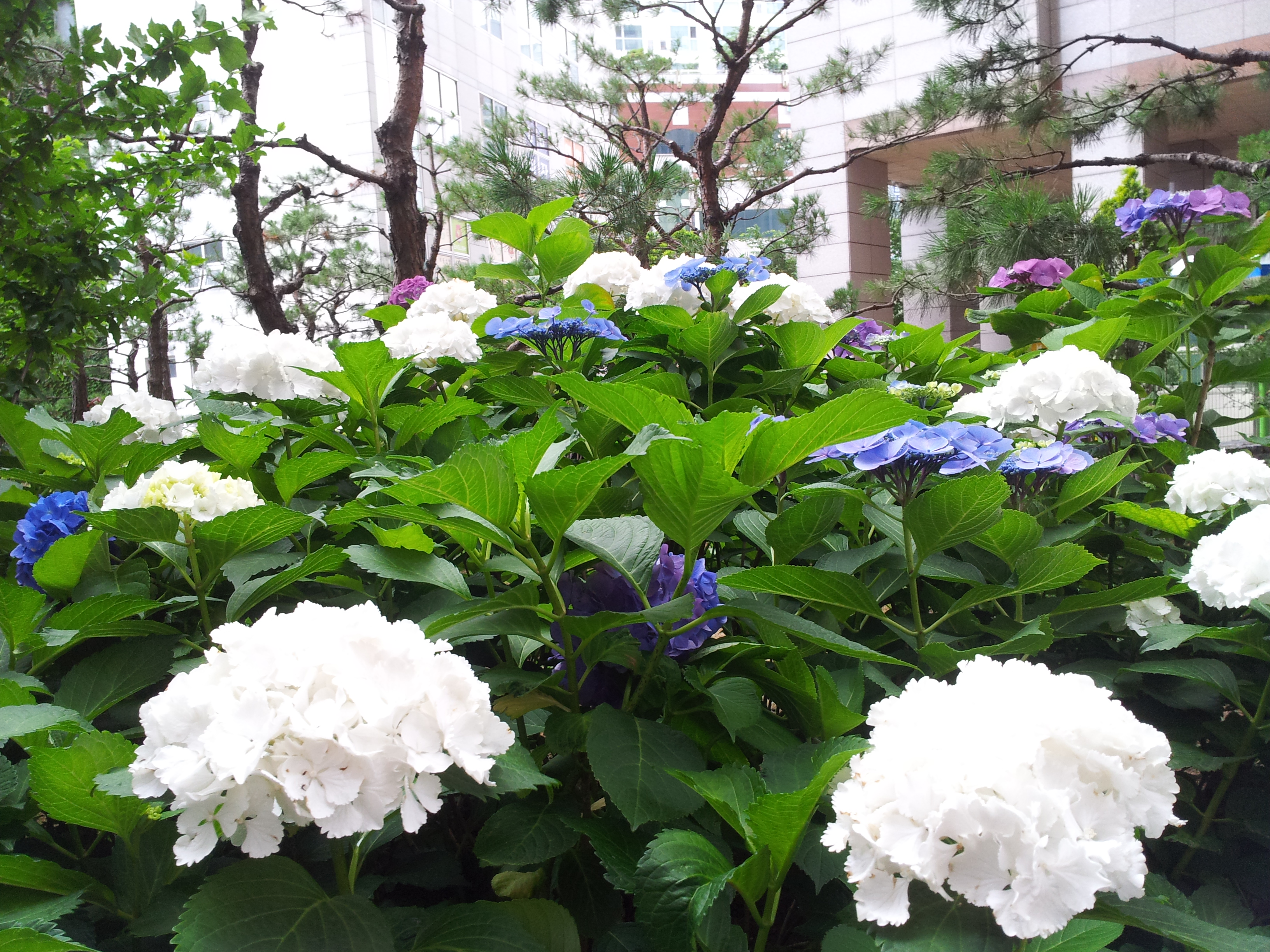 20120616_155252.jpg